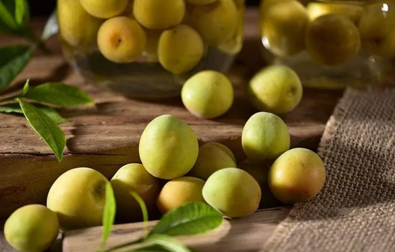 大理的一棵梅花,一棵大理梅品百味解千愁