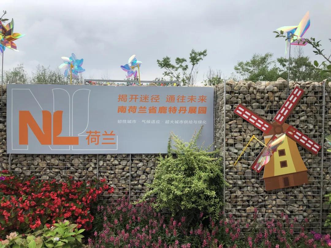 上海花博会讲解,上海花博会有什么