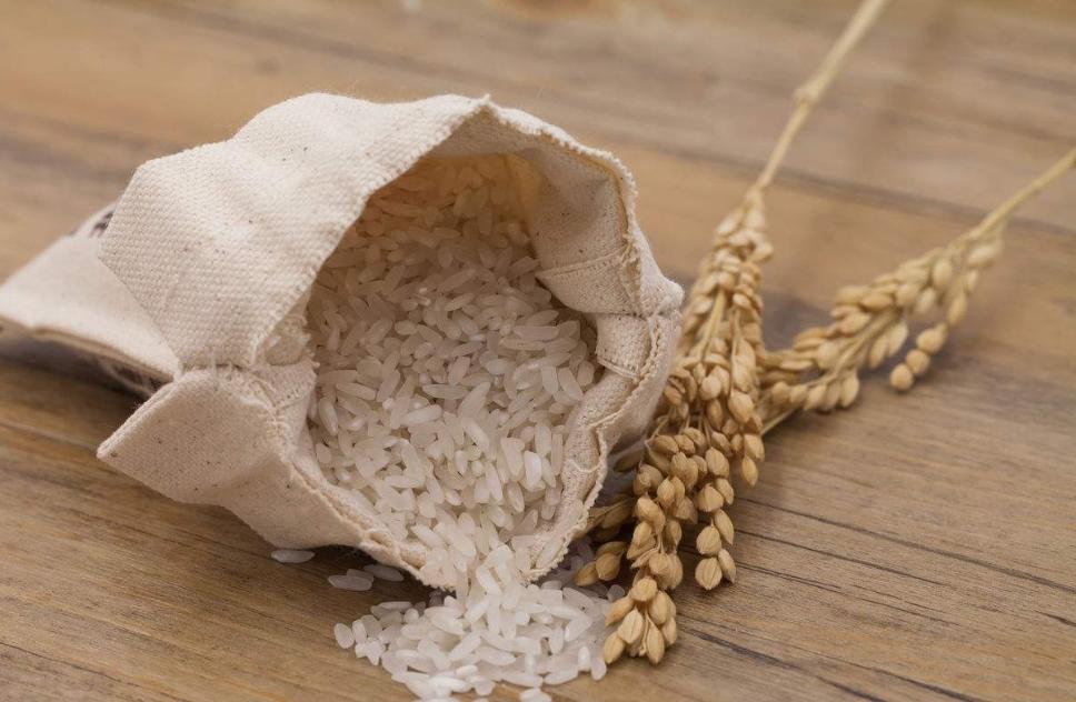 米罐里面有很多虫子,米罐里的虫子怎么去除