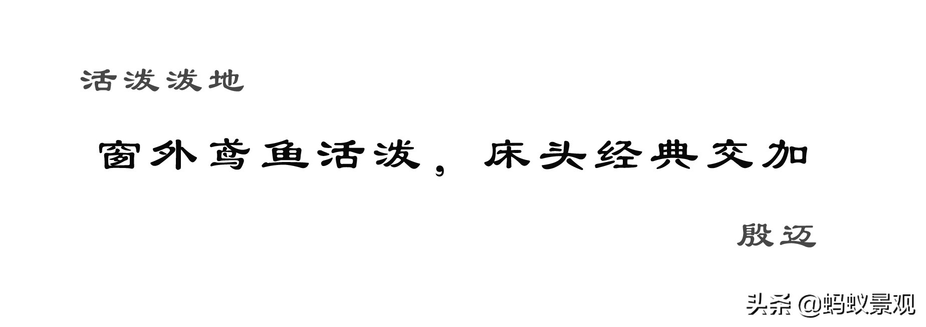 留园建筑布局照片,留园建筑景观内容