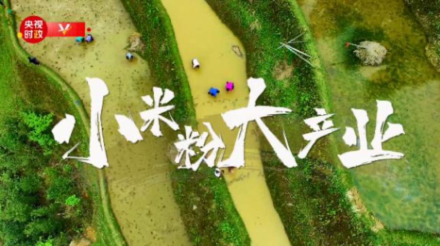 骞胯タ铻鸿洺绮夎蛋鍚戜笘鐣岀殑鍘熷洜,鐪熸鐨勫箍瑗胯灪铔崇矇