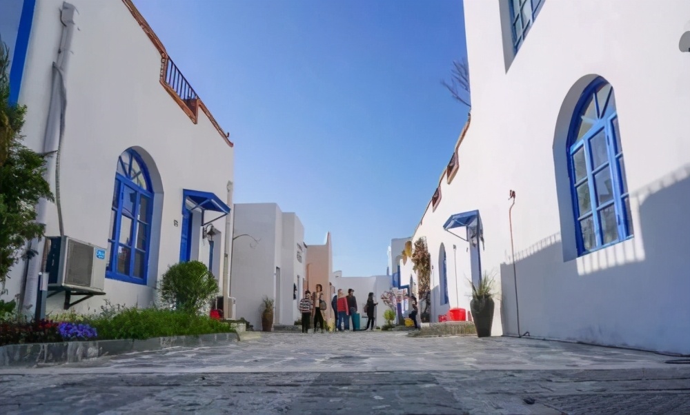 泸州旅游推荐景点大全最新,合肥旅游免费景区推荐