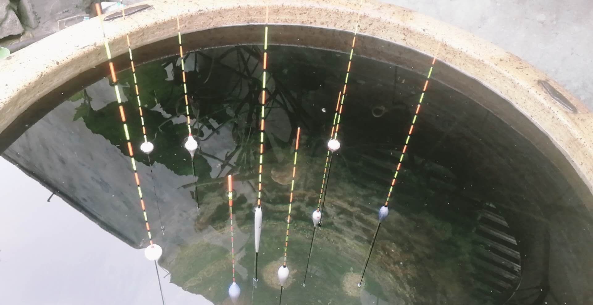 山地自行车软尾和硬尾有什么区别,软尾山地车和硬尾有什么区别