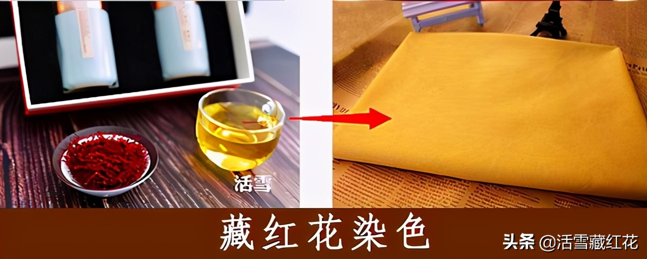 伊朗与伊拉克矛盾,伊朗和伊拉克冲突的原因