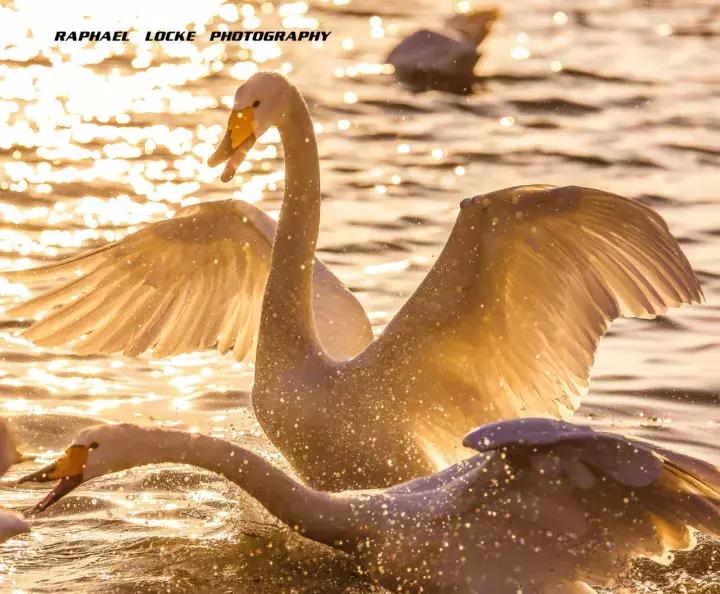 威海冬天旅游攻略四天三晚攻略,威海冬天旅游攻略行程安排