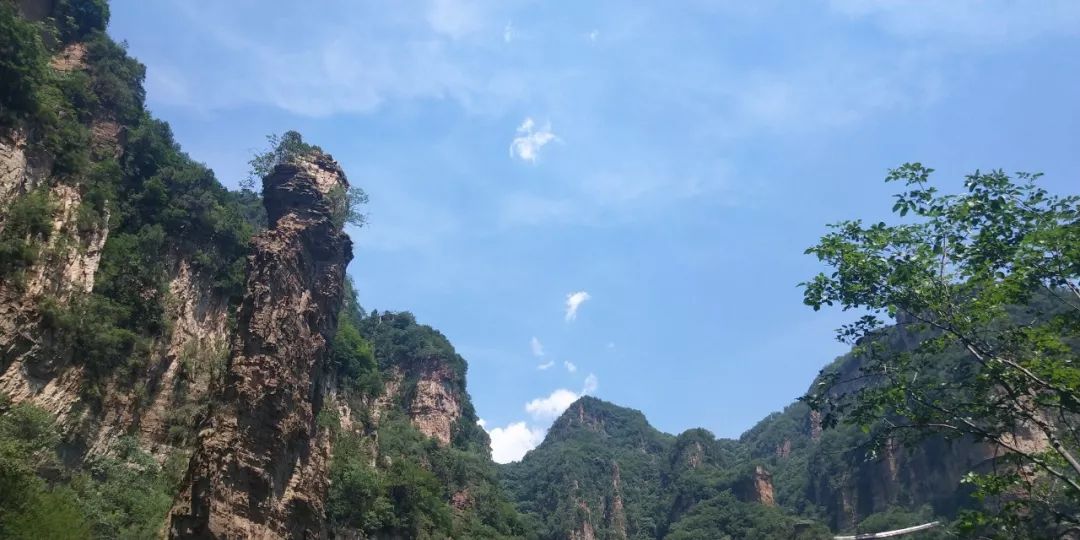 三佳会员免费领取,三佳会员福利怎么样