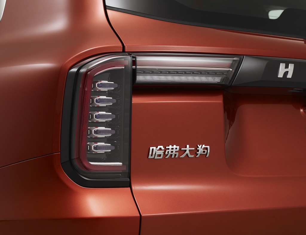 拉布拉多一窝13只哈士奇,哈士奇和拉布拉多哪个贵