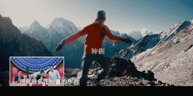 这部国产综艺还有哪些看点,国产综艺节目解析