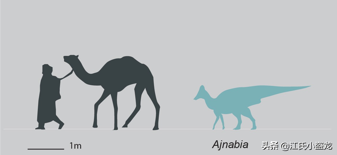 古生物时代有多少种恐龙,人类已经发现了多少恐龙种类