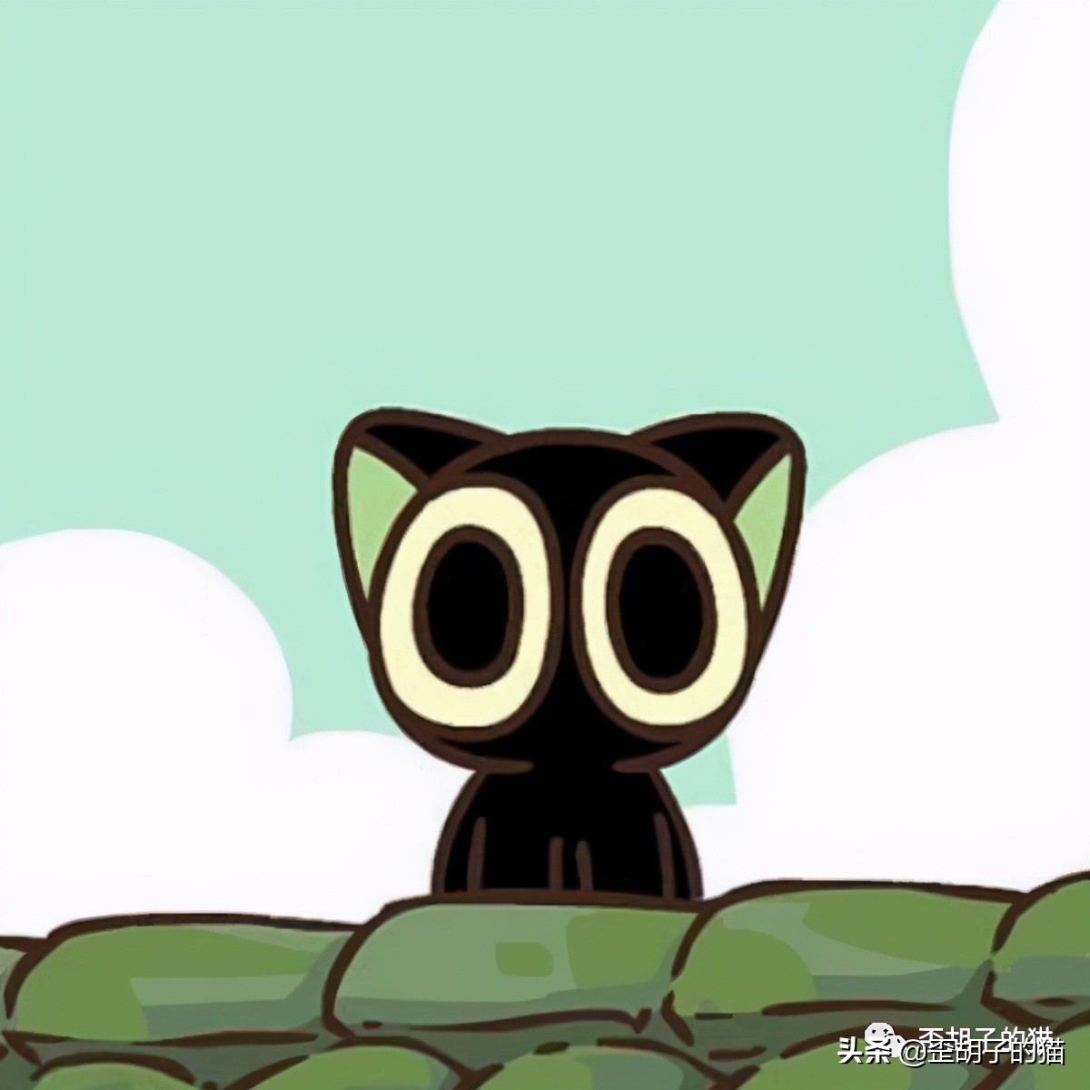 「歪胡子的猫」盘点中美日动漫中的猫咪现实中的样子