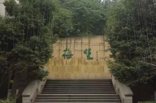 记忆中的重庆美景,重庆九龙坡记忆