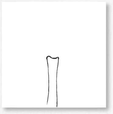 国画基础教程竹子的画法,竹子国画画法教程