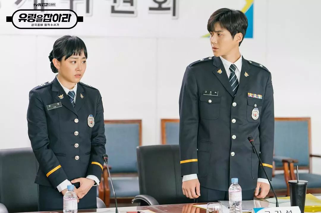 秋季档15部新剧重新梳理：真心话剧评，这8部值得追