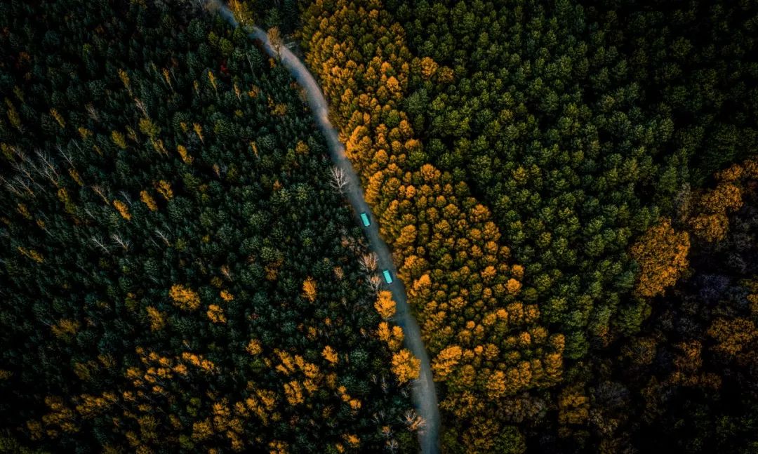 长春一汽是通过啥发展起来,长春一汽发展史