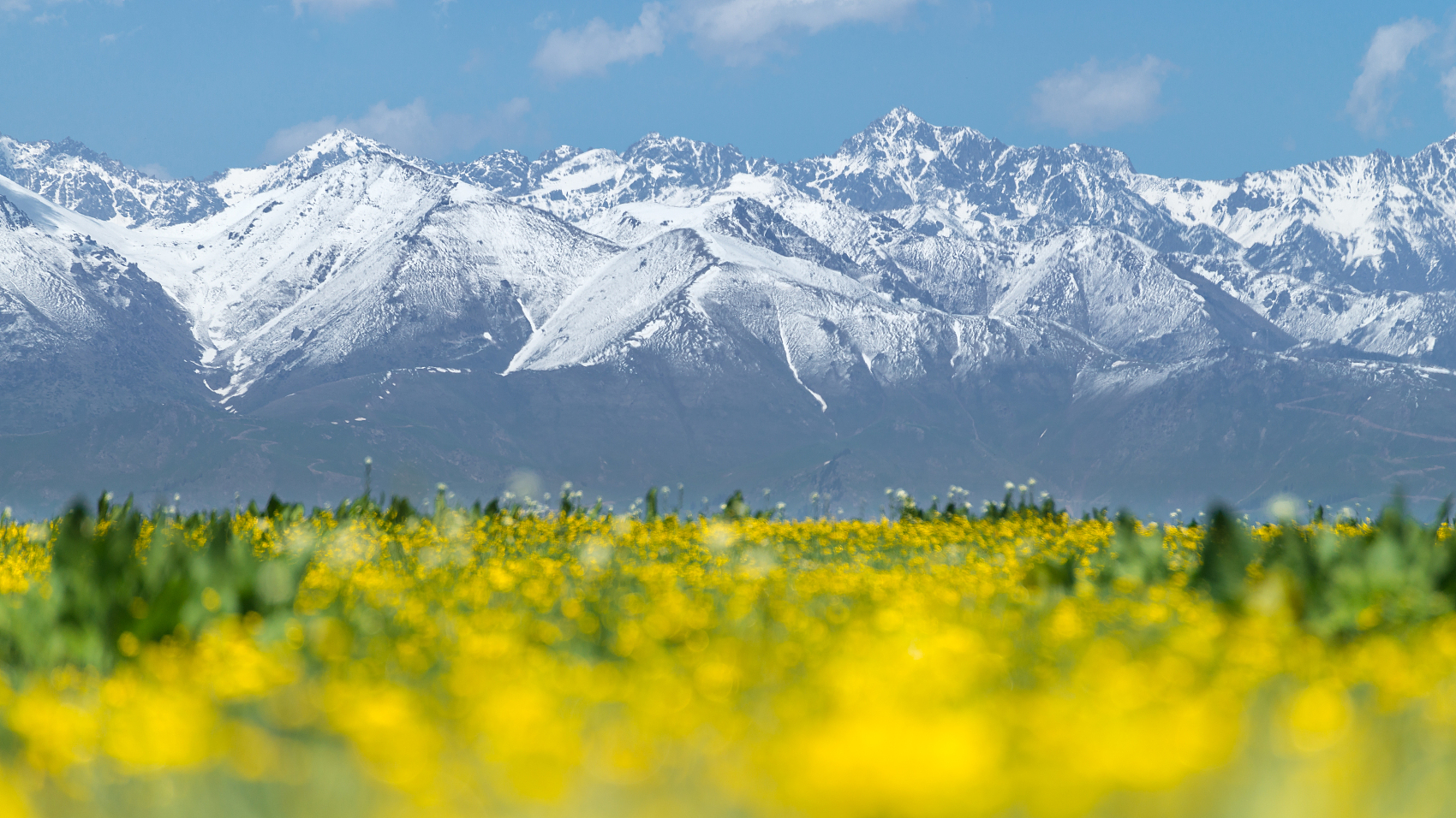 银行待遇与公务员待遇哪个比较好,银行各岗位及薪酬排名