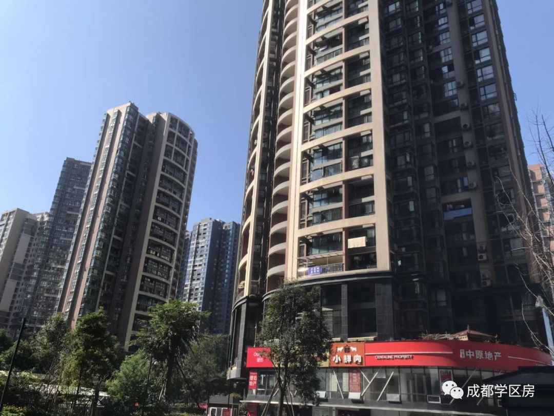 天府新区好的学区房有哪些,天府新区小学排名及周边楼盘