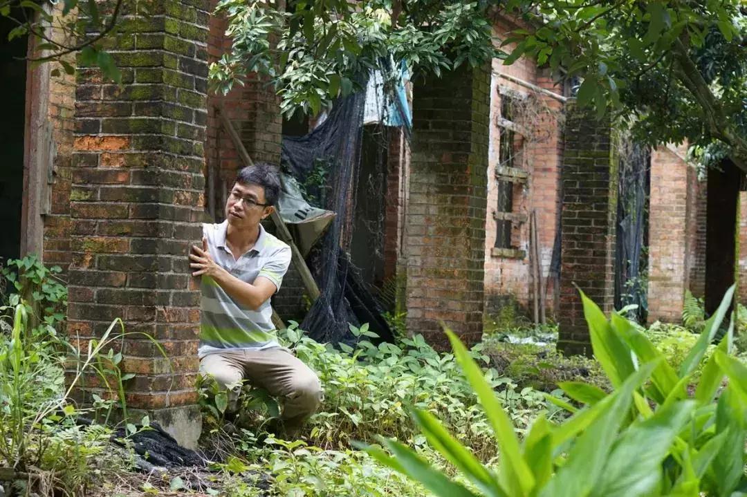 放弃世界顶尖银行工作,他回村当木匠,在废墟上盖出了爆美小院!