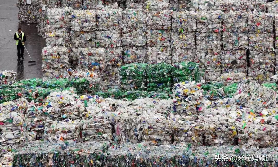 全国人看上海,大家都在关注垃圾分类