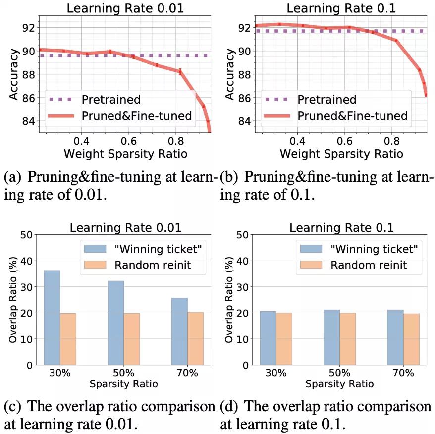 王言治团队：神经网络要「中奖」，秘密在于学习率！｜ICML2021