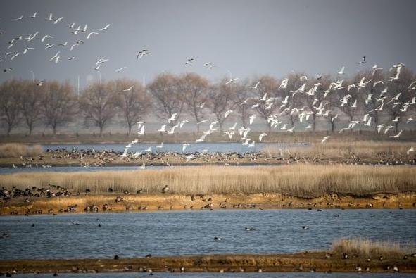 早安湖北武汉,记者体验在武汉买药