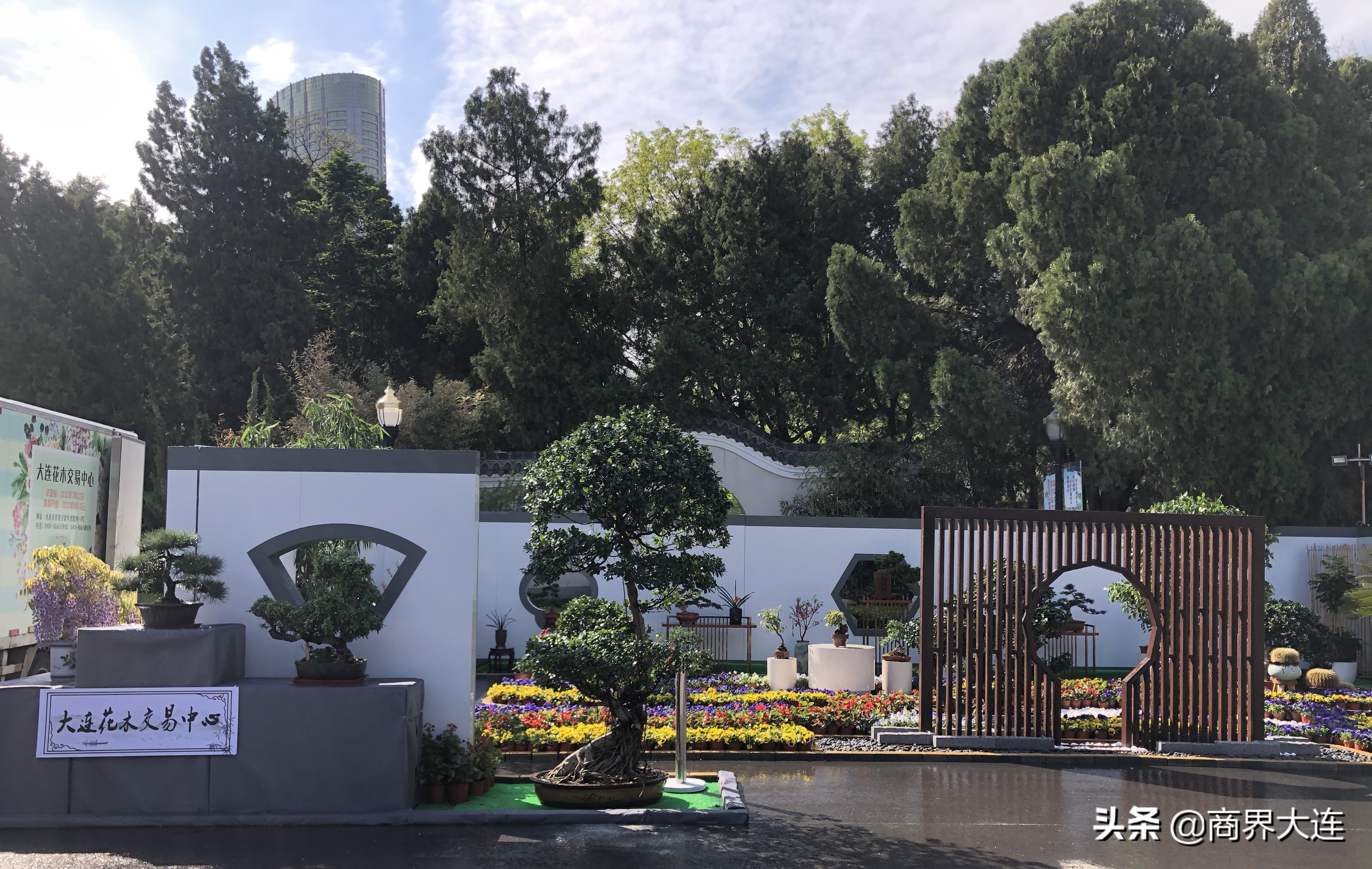 大连花卉展览会在哪里,大连花木公司直播