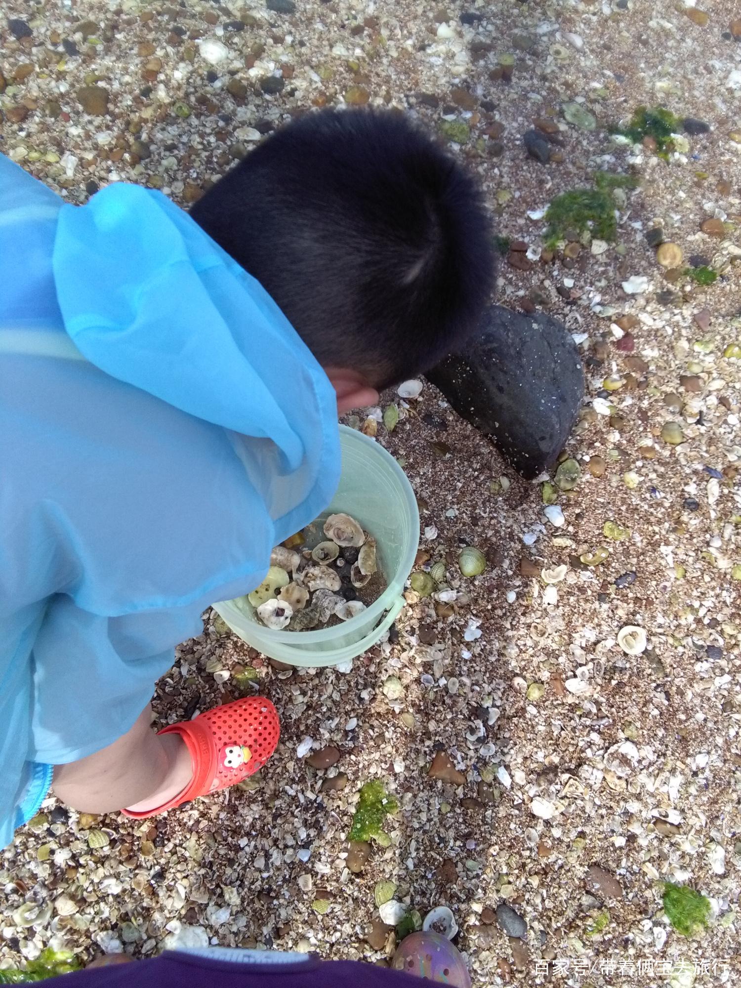 山东的海岛有哪些,山东最美海岛是哪里