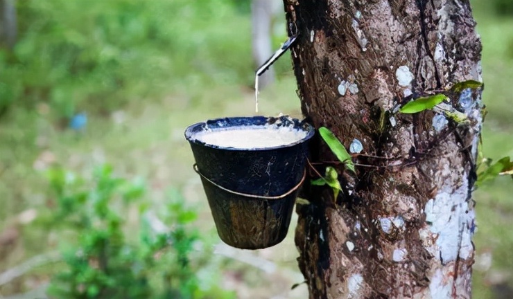 选择什么样的材质的床垫最好,床垫买什么样材质的好一点又实惠
