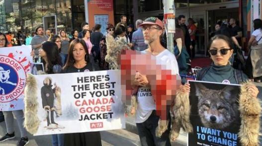 加拿大鹅与国产羽绒服哪个好,国产羽绒服堪比加拿大鹅