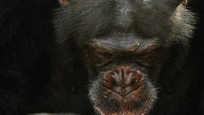 假期儿童纪录片推荐经典,青少年假期推荐纪录片