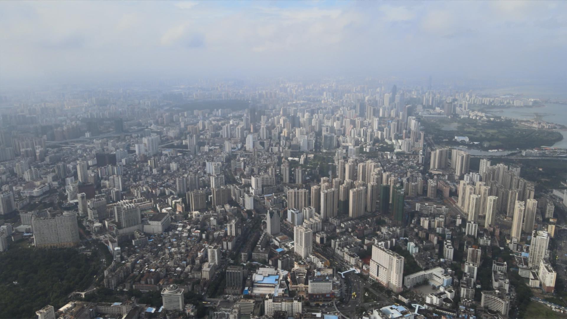 逐梦自贸海动椰城,逐梦海口嗨动椰城