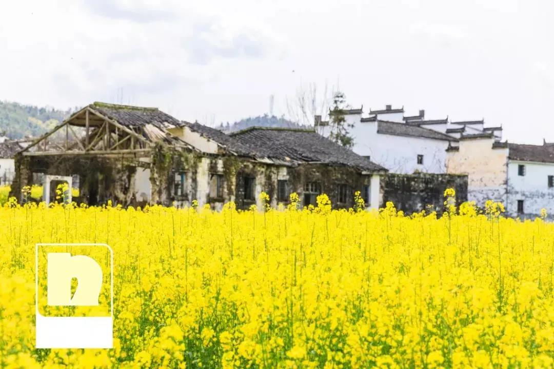 马卡龙色系色块搭配,马卡龙色系怎么搭配