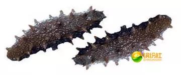 舟山海鲜攻略2天1晚住宿自由行,舟山最好的海鲜