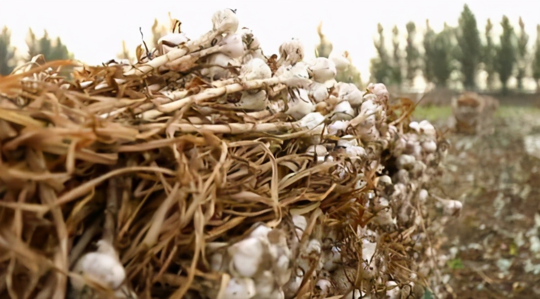 游遍山东临沂风景,游遍山东攻略
