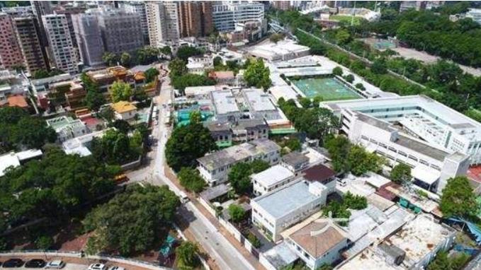 薛芷伦王祖贤关系,香港名媛薛芷伦年轻时候的照片