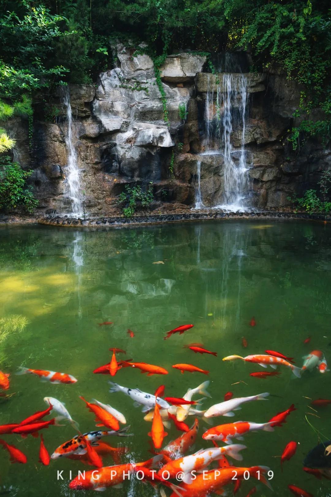 济南黄河入海口自驾游最佳路线图,春节济南出发自驾游最佳线路推荐