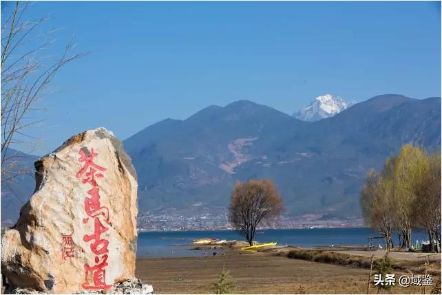 你可能从没意识到，原来这些东西也是*物文**