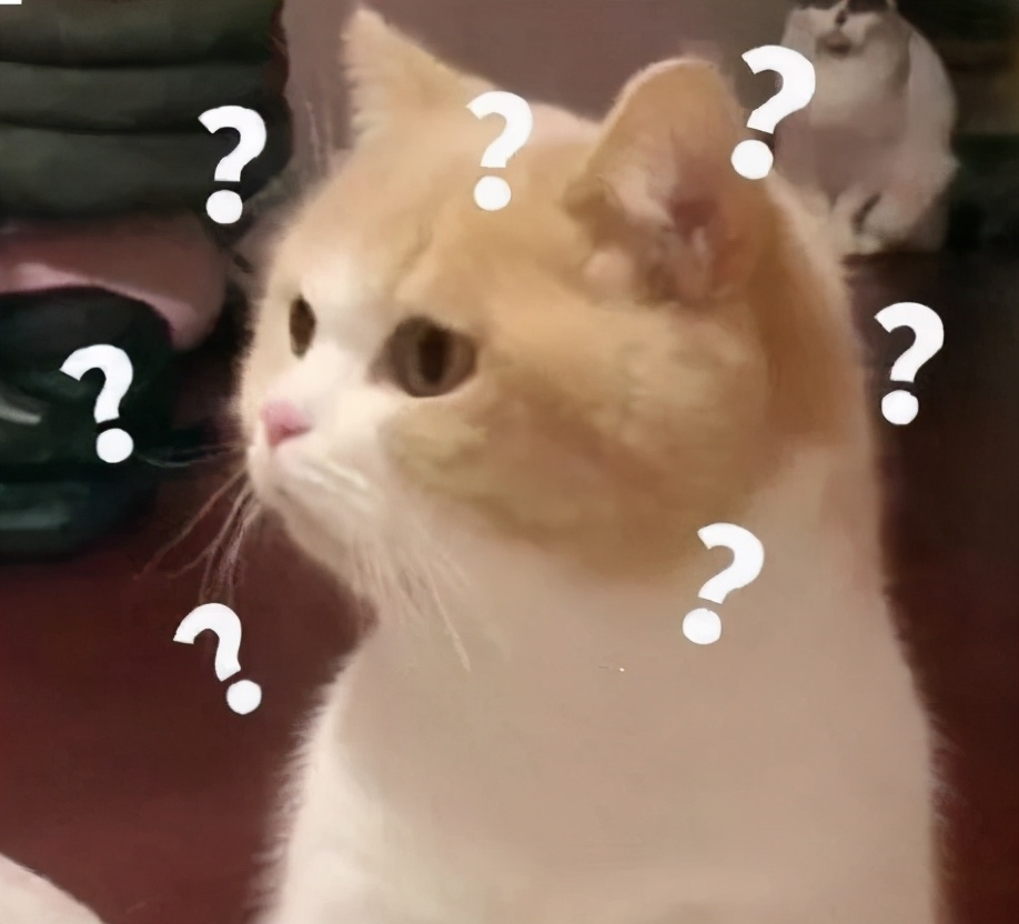 广州恒大新球场建筑,广州恒大被骂