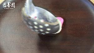 没有色素的小猪汤圆怎么做,做汤圆教程可爱型