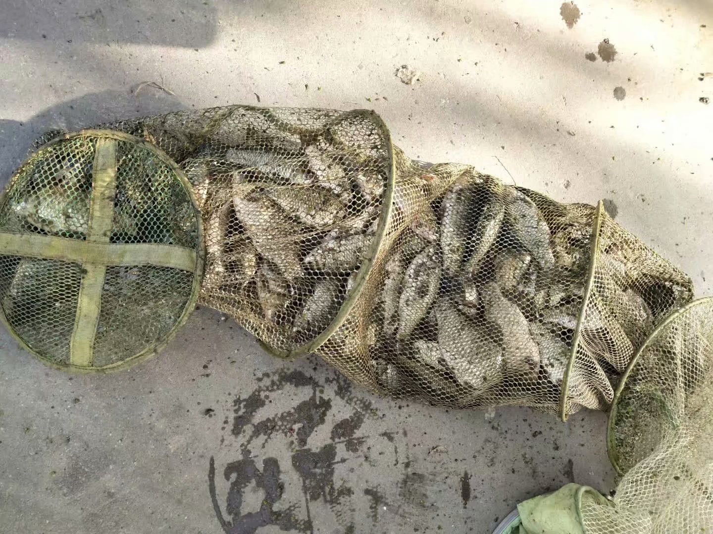 渔具线上和线下的区别,渔具在淘宝买还是京东买