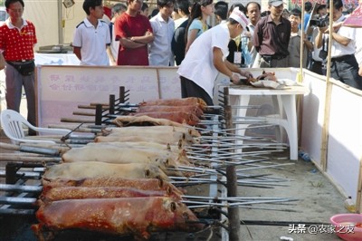巴马火麻汤哪里最正宗,巴马特色美食火麻仁汤做法
