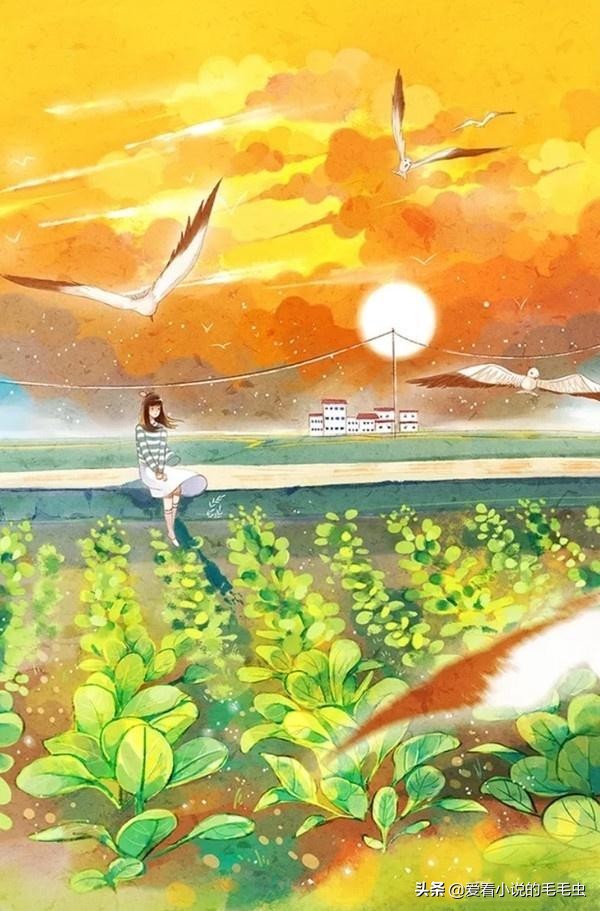 5本不错的现言宠文,5本超好看的现言宠文