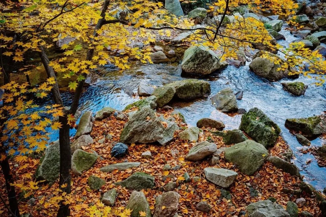 跳跃的乐章,跳跃的旋律原唱