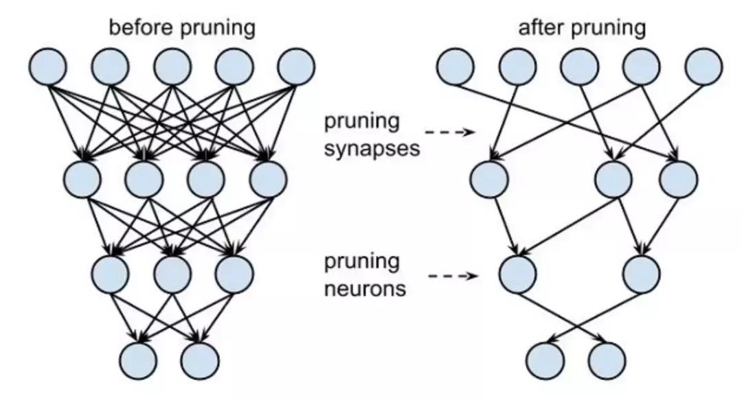 脑科学日报考试,脑科学与教育训练方法