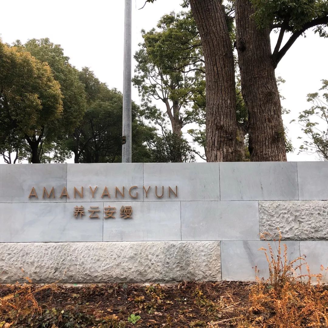 一晚80000，历时10年，耗资33亿的上海安缦，...