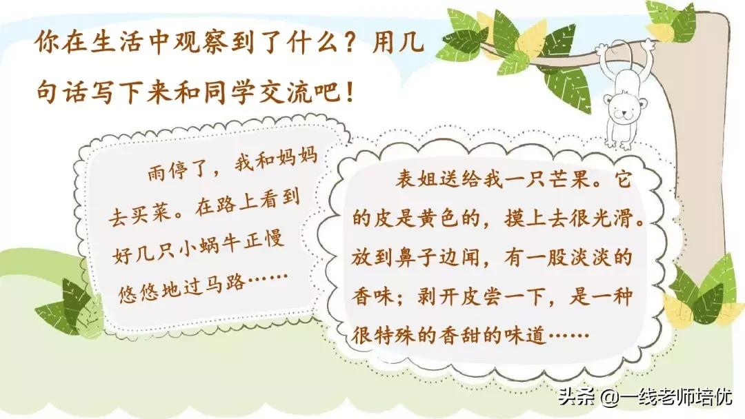 部编版语文第5单元三年级上册,部编版三年级语文上册第三单元