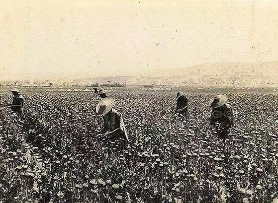 6.26国际禁毒日工作总结,6.26国际禁毒日央视纪录片