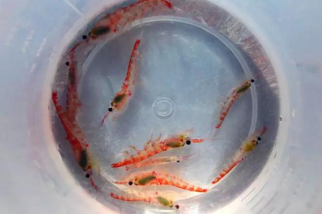 安徽etc使用会有短信通知吗,安徽办理etc提示已办理怎么办