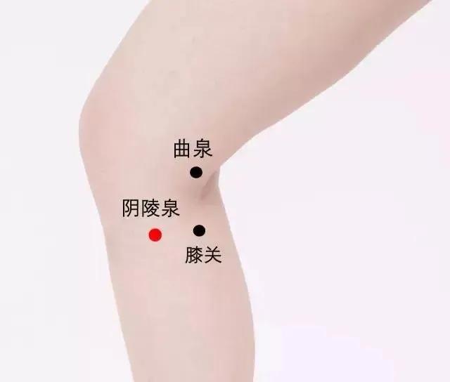 艾灸脾经的减肥效果,经常艾灸腹部会瘦吗