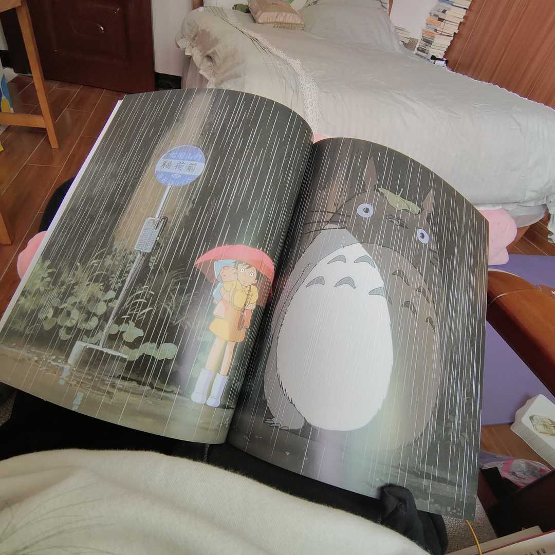 龙猫为何打动人,龙猫一蹦就下雨