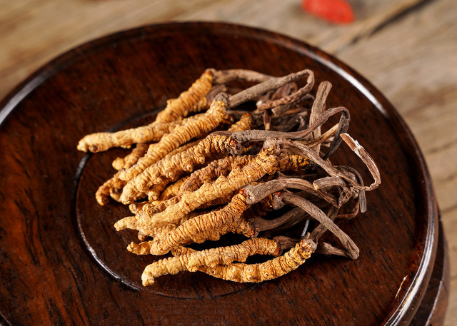 中医肾虚食补真的有用吗,肾虚吃了滋补的中药多久有效果